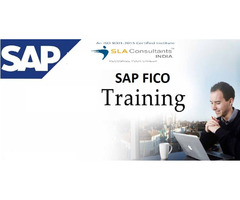SAP FICO Institute in Delhi, Nangli, SLA Consultants India, Accounting, Tally GST Certification with