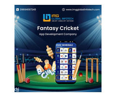  Top Fantasy Cricket App Development Company In India  - Image 1