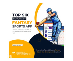  Top Fantasy Cricket App Development Company In India  - Image 3