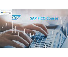 Best SAP FICO Institute in Delhi, Patel Nagar, SLA Institute, Accounting, Tally GST Certification wi