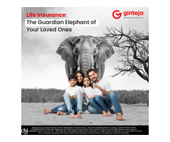 Secure Your Future With Ginteja Insurance - Image 1