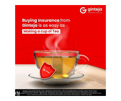 Secure Your Future With Ginteja Insurance - Image 2