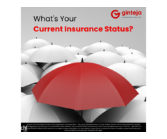 Secure Your Future With Ginteja Insurance - Image 3