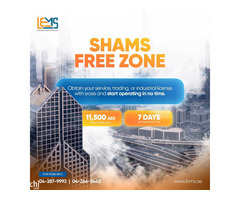 Shams free zone trade license