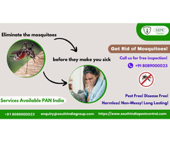 Mosquito Control in Hyderabad