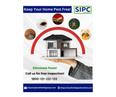 Pest Control Services in Bangalore