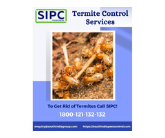 Termite Control in Cochin