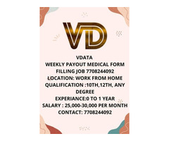 Work at home with US Medical Form Filling projects 7708244092