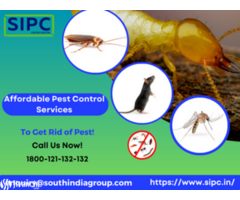 Best Pest Control Services in Hyderabad