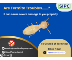 Termite Treatment in Hyderabad
