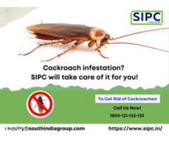 Cockroach Control in Hyderabad