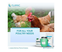 Glamac: Best Poultry Feed Company in India | Poultry Nutrition