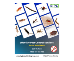 Pest Control Services in Goa