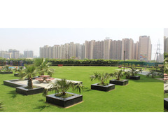 Benefits Of Location In Nirala Greenshrie Noida Extension - Image 2