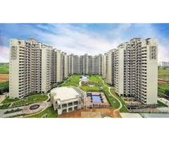 Your Dream Home Awaits – 2 & 3BHK Flats in Sector 81, Gurgaon