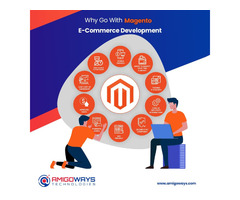 Top Magento Development Company in India  - Amigoways