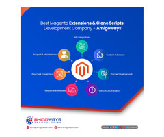 Top Magento Development Company in India  - Amigoways - Image 3