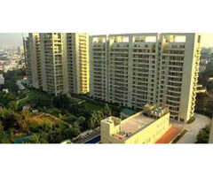 Elegant Living: 2 & 3BHK Flats in Sector 25, Gurgaon