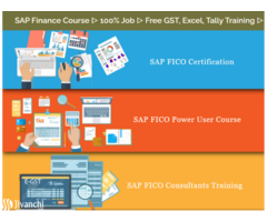 SAP FICO Course in Delhi, Laxmi Nagar, SLA Institute, 100% Job Placement, Free Accounting, Tally, GS