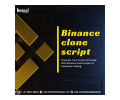 Binance clone script development