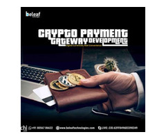 Crypto Payment Gateway Development Company