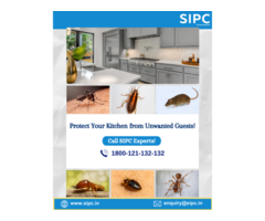 Pest Control Services in Bangalore