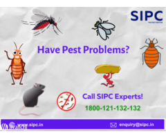Best Pest Control Services in Cochin