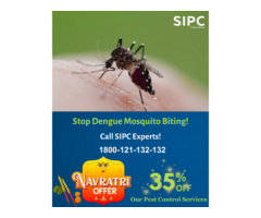 Mosquito Control Services in Mumbai