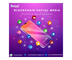 Blockchain social media platform development