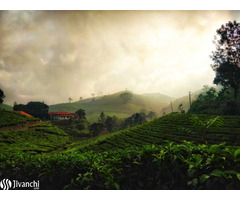 Discover the Beauty of Kerala with Seasonz India Holidays!