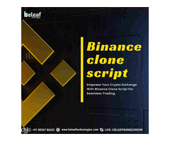 Binance clone script