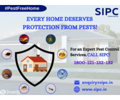 Pest Control Services in Cochin