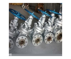 Non Rising Stem Gate Valve Manufacturer in India