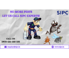 Best Pest Control Services in Delhi