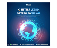 Centralized crypto exchange development