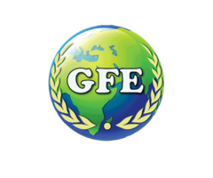 GFE Business Services Pvt. Ltd.