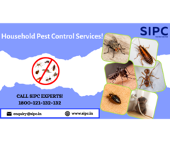 Pest Control Services in Goa