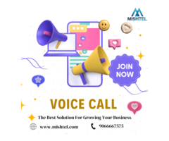 Bulk Voice call