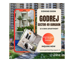 Godrej Sector 49 Gurgaon: Resort Theme Based Project - Image 4