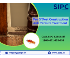 Termite Pest Control in Mumbai