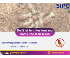 Termite Control in Chennai