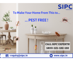 Best Pest Control Mumbai