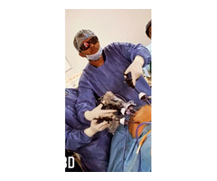 Urologist Dhanbad - Dr. Saket Narnoli - Image 3