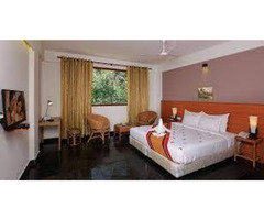 Hotels in Thekkady - Image 3