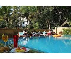 Hotels in Thekkady - Image 7