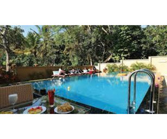 Hotels in Thekkady - Image 11