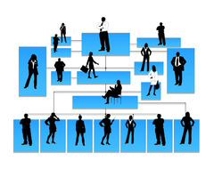 Amazon Org Chart: A complete guide to its Organizational Structure - Image 1