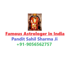 World Famous Astrologer in India +91-9056562757