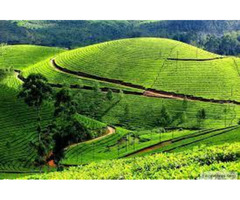 Explore well-known attractions in Ooty