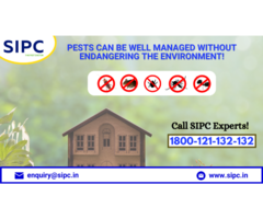 Pest Control Services Kochi